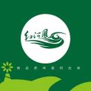 红河凤无抗鲜鸡蛋