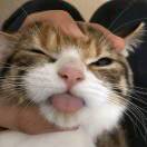 1qusa2fcsqPZ3HJw-HB