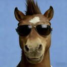 1r7jldp2lanqZWAg-HB