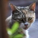 1qi41hrey25rtIww-HB