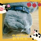 蓬松饼子0v0