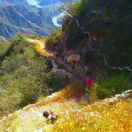 1qr5ftczfwVQx09A-HB