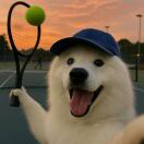 Teeson Huang