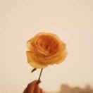 1rbt82ybmyge59_Q-HB