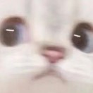ub1sad3