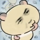 雨竹禾