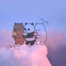海绵扑扑