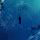 1qx3151xtnSLY_FA-HB