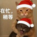 冰糖雪梨粥