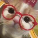 1qk2j6o1kosOluww-HB