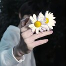 诣碗虾仁粥周