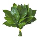 好运蛋花汤
