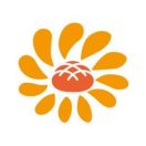 四色彩
