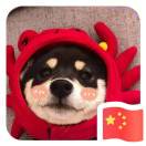 若溪27782