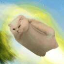 不止于此～