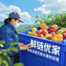 果小鲜[福建平和〕1366606755