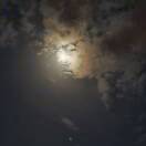 三口一个苹果