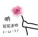 GD775075666
