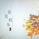 莫红宇