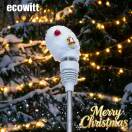 Ecowitt陈经理