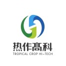 高科小叮当双十一版