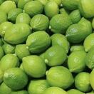 香柠皇子🍋香水柠檬果场直