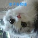 阿jin哥