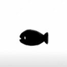 小鱼🎣🐡🐠🐟 🐋