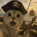 骑迷惑驴的阿凡达