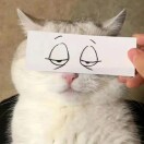 1qxyg3kr85sVsHDw-HB