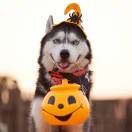 1r69hv4qunTEkIeA-HB