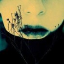 hzw-hide