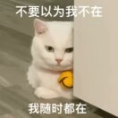 砼人急事发语音