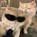 咖尔德