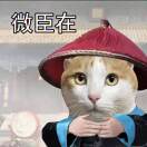 1q6z51q3972b9nddg-HB