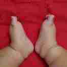 1qa6t0t0weelslk0-HB